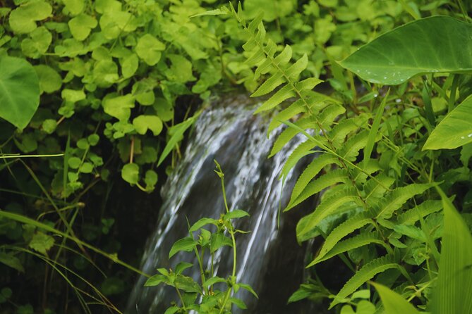 Bali Spiritual: Blessing Ceremony, Pristine Nature and Transfer - Starting at 7:30 am with a village welcome