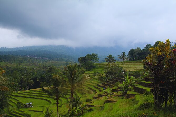 Bali Spiritual: Blessing Ceremony, Pristine Nature and Transfer - Eating at a village warung