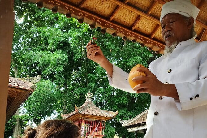 Bali Spiritual Shamanic-Palm Reading, Temple Healing Tour - Key points at a glance