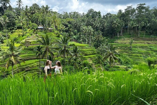 Bali Sunrise Without Hiking: Temples, Rice Terraces & Waterfall - Key points at a glance