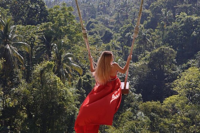 Bali Swing, Monkey Forest and Waterfall Private Tour - Tegalalang Rice Terrace and its irrigation system