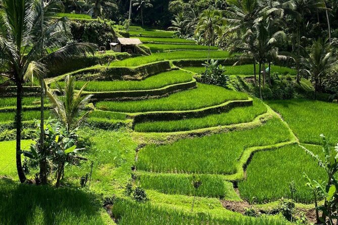 Bali Swing, Monkey Forest and Waterfall Private Tour - Kanto Lampo’s unusual rock shelves