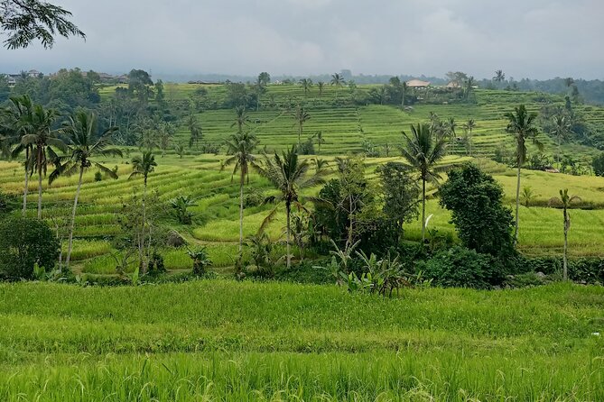 Bali Tanah Lot, Ulun Danu Beratan & Jatiluwih Rice Terrace - Three Bali icons in one long day