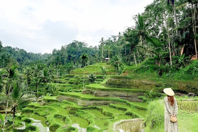 Bali Tour : Best Attractions in Ubud with Rice Terrace - Goa Gajah, or Elephant Cave: a compact temple visit