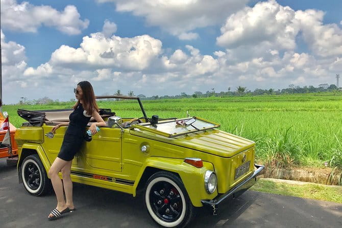Bali Tour Driver - Mas Village and wood carving