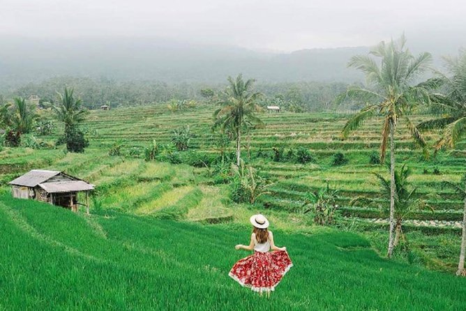 Bali Tour Package 9 Days 8 Nights - Day 5: Barong mythology and an afternoon in Ubud