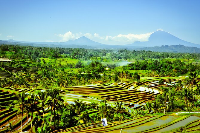 Bali Tour: The Best Way to Explore The Highlight of Bali - Penatahan Hot Spring for a warm break