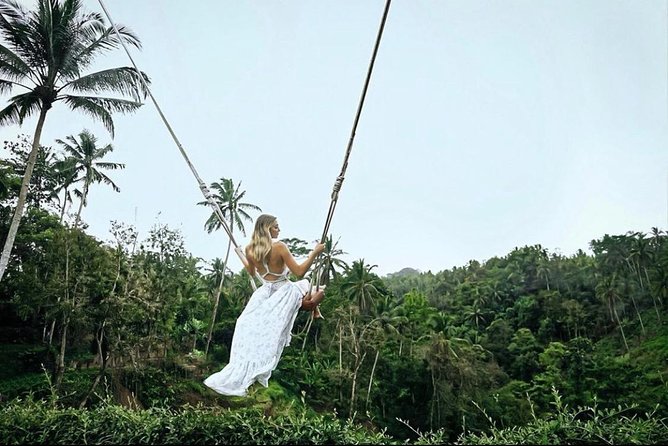 Bali: Ubud Highlights Tour with Private Guide and Transfers - A Full Day Built Around Ubud’s Big Sights
