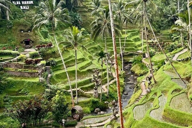 Bali Ubud Private Costomized Tour - Explore Bali your way - Sacred Monkey Forest: temples, trees, and quick-moving macaques
