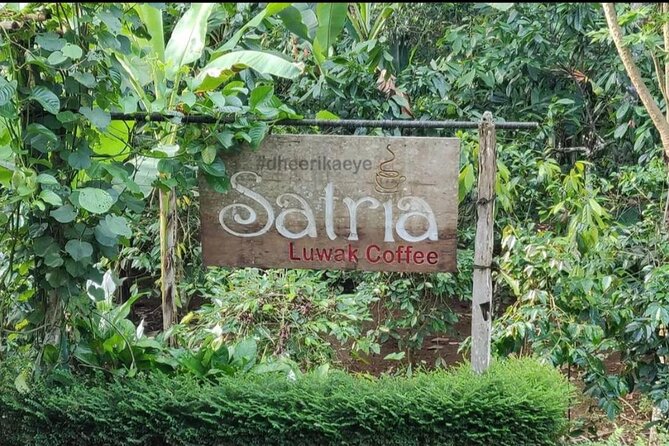 Bali Ubud private Tour with Ubud Bali Driver - FREE WIFI - Silver, Wood Carving, and Local Craft Stops