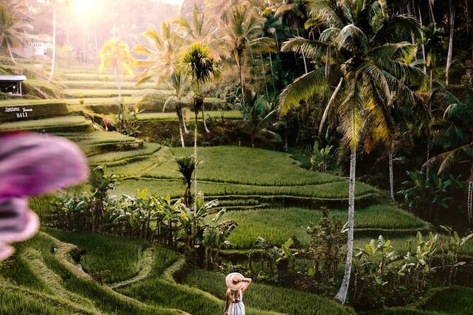 Bali Ubud Tour: Monkey Forest, Waterfall & Rice Terrace - Reading the green patterns at Tegalalang Rice Terrace