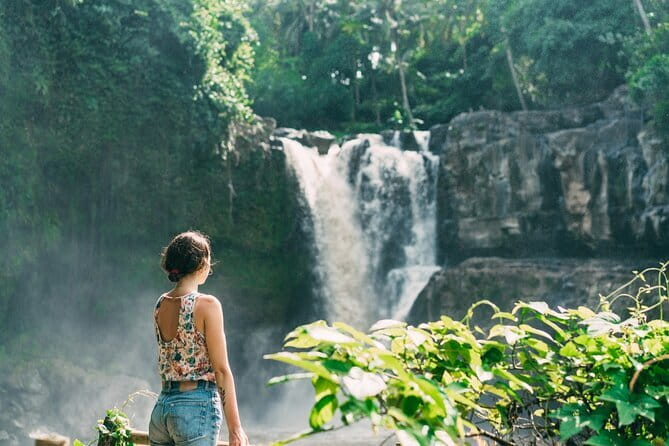Bali Ubud Tour Monkey Forest, Waterfall, Temple & Rice Terrace - Lunch, Costs, and What the Price Really Covers