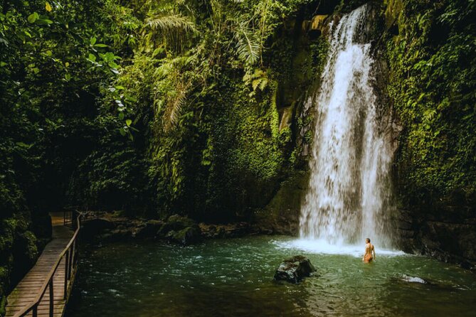 Bali Ubud Zipline Jungle Swing and Waterfall Tour - Tegalalang Rice Terrace brings the Ubud scenery