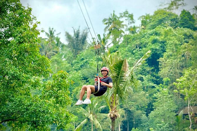 Bali Ubud Zipline, Monkey Forest and Waterfall Adventure - What the $27.36 price really buys