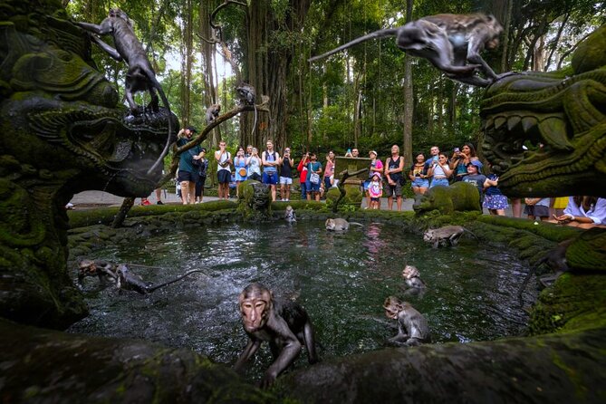 Bali Ubud Zipline, Monkey Forest and Waterfall Adventure - Who will enjoy this Ubud combination