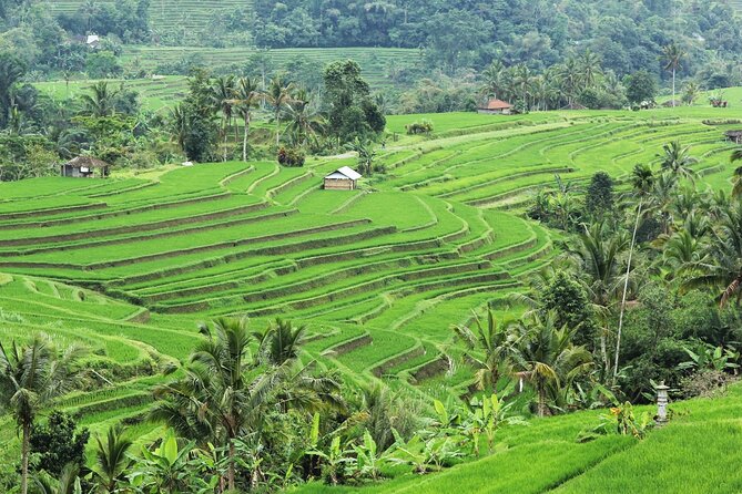 Bali UNESCO Sites: Water Temples and Jatiluwih Rice Terrace Tour - Tanah Lot for the final sunset