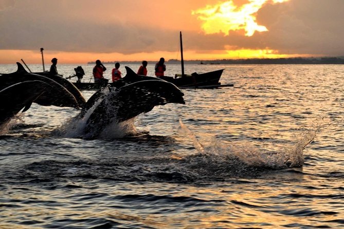 Bali Watching Dolphin at Lovina Beach & aling aling waterfall - Five things to know before booking