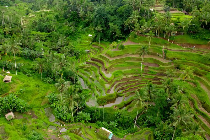 Bali Water Sports and Ubud Tour Packages - Lunch before the long trip north