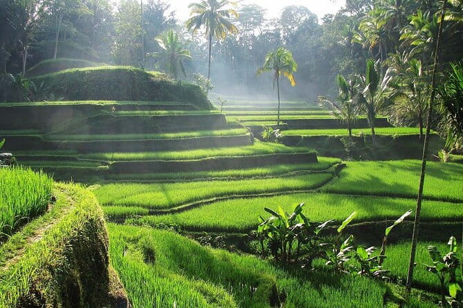Bali Waterfall in One Day Tours, Hidden Waterfall - All Inclusive - What the $65 price really covers