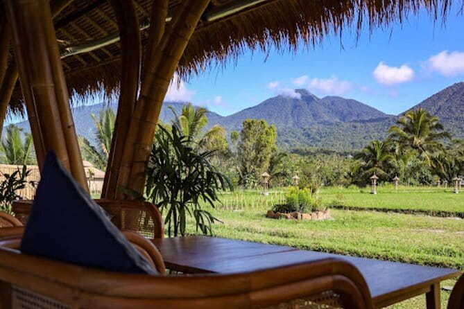 Bali Waterfall Wonders | A Nature Escape | All Inclusive - Jatiluwih Rice Terraces and the subak system