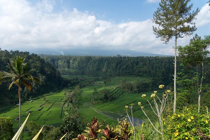 Bali Waterfalls and Temples Tour - What the $76 price really covers