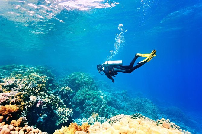 Bali Watersport Activities - Great Discount Package - Who will enjoy this half-day outing?