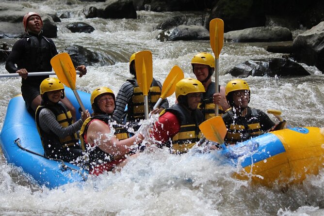 Bali White Water Rafting Adventure at Ayung River Bali - What the 2 to 2.5 hour river run includes