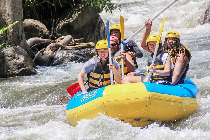 Bali White Water Rafting Adventure at Ayung River Bali - The rapids, the pauses, and the changing views