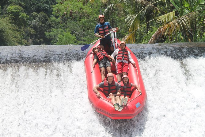 Bali White Water Rafting at Telaga Waja River - Who should book this rafting trip?