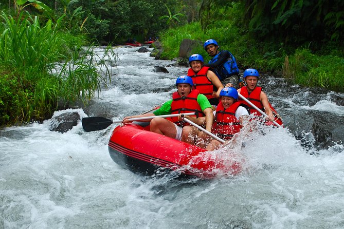 Bali White Water Rafting at Telaga Waja River - Telaga Waja River: two hours of active rafting