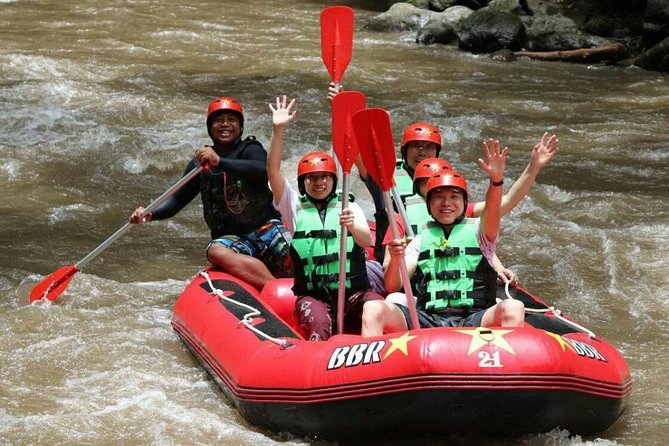 Bali White Water Rafting - Infinity - Key points to know before you book