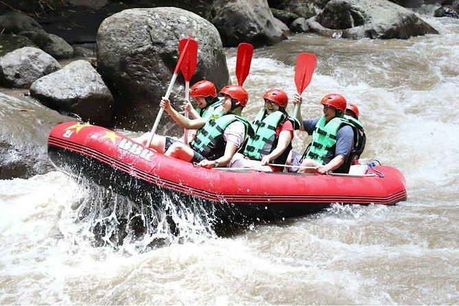 Bali White Water Rafting - Infinity - Is $47 good value for Ubud?