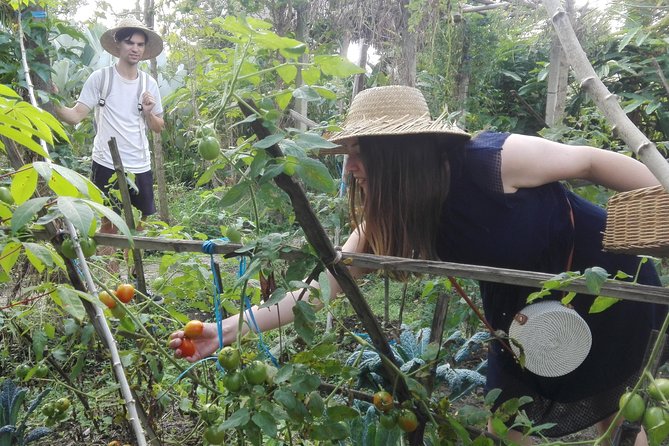 Balinese Cooking Class at Organic Farm - The strongest parts of the experience