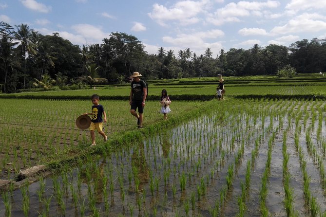 Balinese Cooking Class at Organic Farm - Turning garden produce into six Balinese dishes