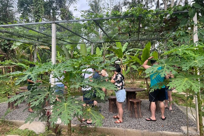 Balinese Cooking Class with Traditional Market Tour - Group size, guides, and the pace of instruction