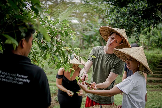 Balinese Farm Cooking Class by Pemulan Bali - Why This Class Feels Different From a Standard Cooking Lesson