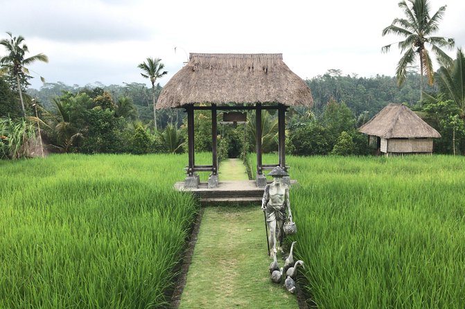 Balinese Life Style Tour - Segara Windhu Coffee Plantations and the tasting stop