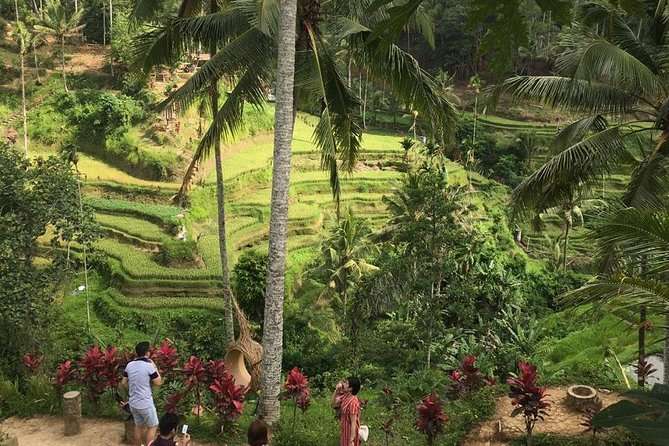 Balinese Life Style Tour - A private car makes the inland route easier