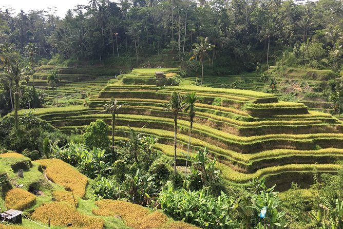 Balinese Life Style Tour - Who will enjoy this Bali culture tour most
