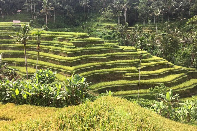 Balinese Life Style Tour - Smart questions to settle before departure