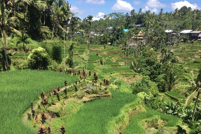 Balinese Life Style Tour - Kintamani and the Mount Batur view