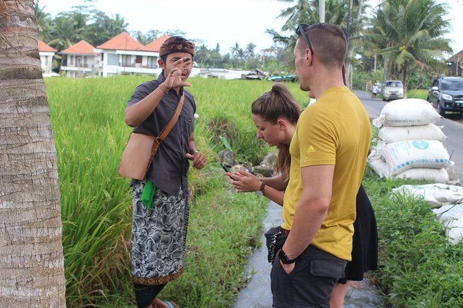 Balinese Ubud cooking school (9 Dish Cooking and Market Tour) - The regular menu: chicken, satay, sambal, and dessert