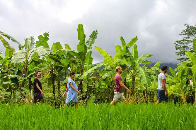 Balinese Vegan Cooking Class with Fresh Harvesting & Garden Tour - What happens during the 3.5-hour class