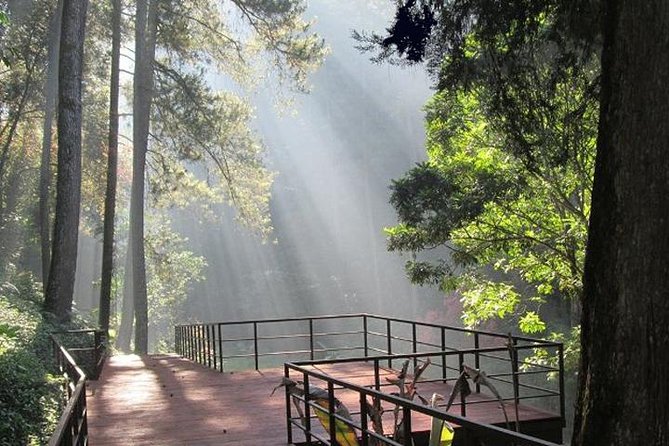 Bandung Private Tour Mountain Volcano and Hotspring ( Overland ) - Key points to know before booking