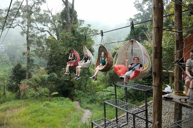 Bandung Tour All In, White Crater, Volcano Mountain, Hot Spring - Picking strawberries in Ciwidey