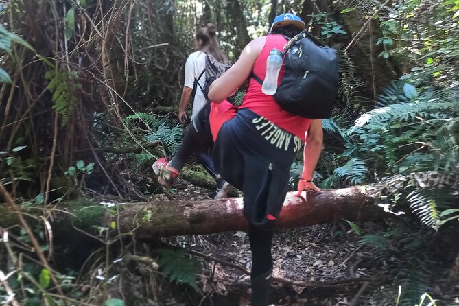 Bandung Tour Volcano, Hotsprings, Mud, Tea, Lunch all Included - Patenggang Lake and the included lunch