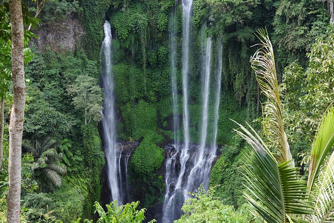 Banyuwana & Banyumala Waterfalls Tour Private - All-Inclusive - Banyumala Twin Waterfalls and the forest path