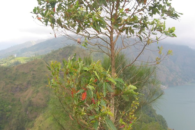 Batur Caldera Sunrise Trekking - Who Will Enjoy This Trek Most