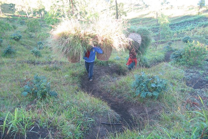 Batur Caldera Sunrise Trekking - The 1.5-Hour Climb Up the Caldera Wall