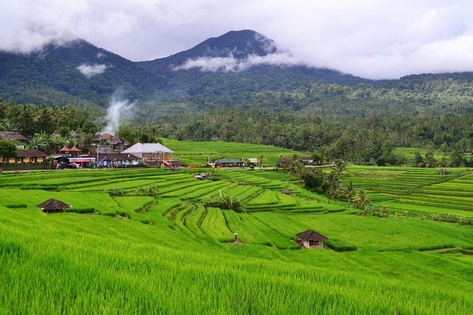 Beauty Of West Bali Tour (Private and All Inclusive) - Taman Ayun, the royal temple near Mengwi